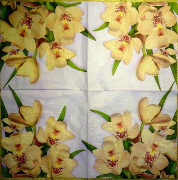 082 Orchids - 3-ply (lilac) - Paw